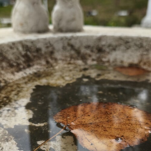 Photo #14140161