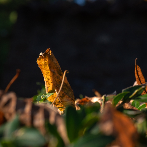 Photo #14140219