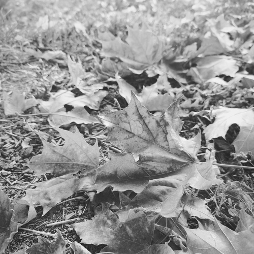 Photo #14140226