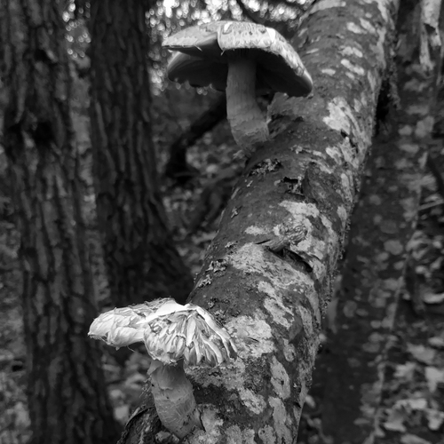 Photo #14140276