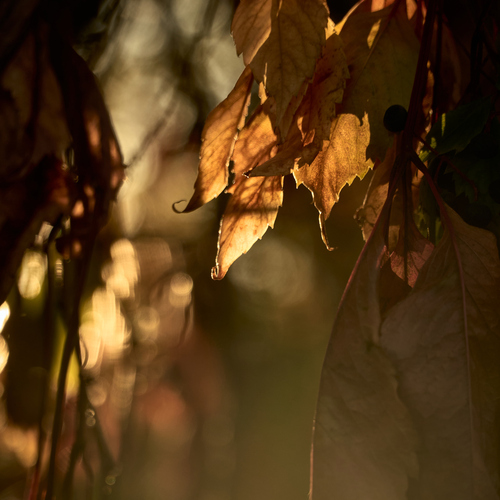 Photo #14140280