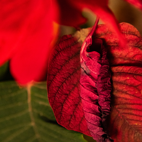 Photo #14140289