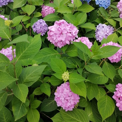 Photo #14140326