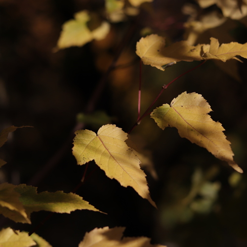 Photo #14140347