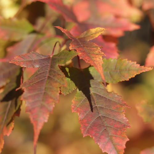 Photo #14140348