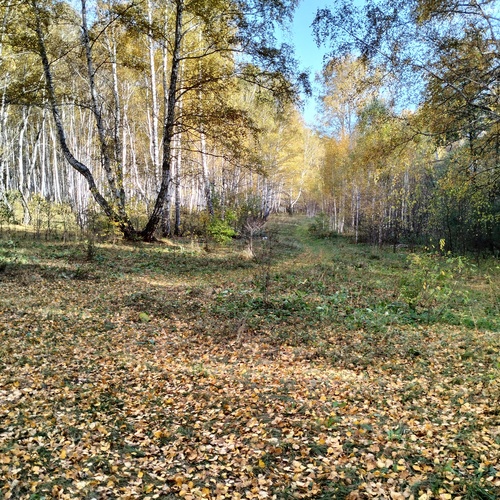 Photo #14140374
