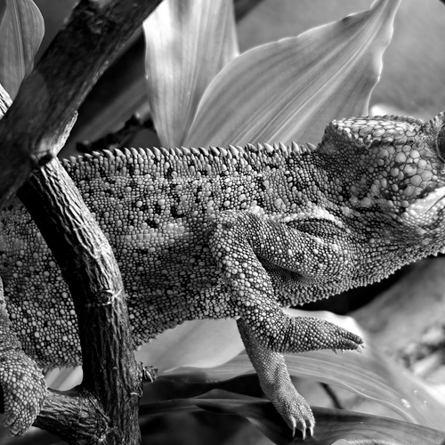 Photo #14140403