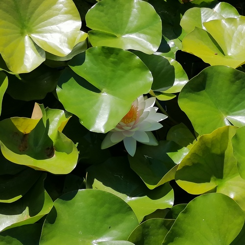 Photo #14140408