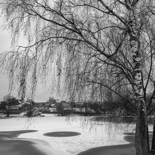 Photo #14140426