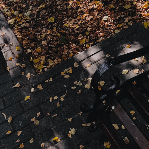 Photo #14140429