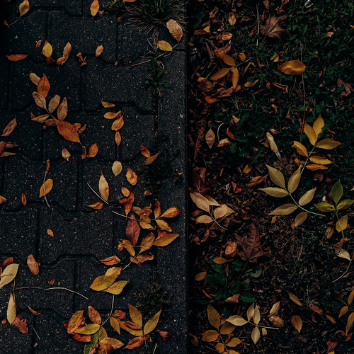 Photo #14140430