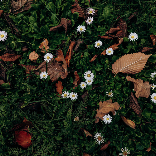 Photo #14140431