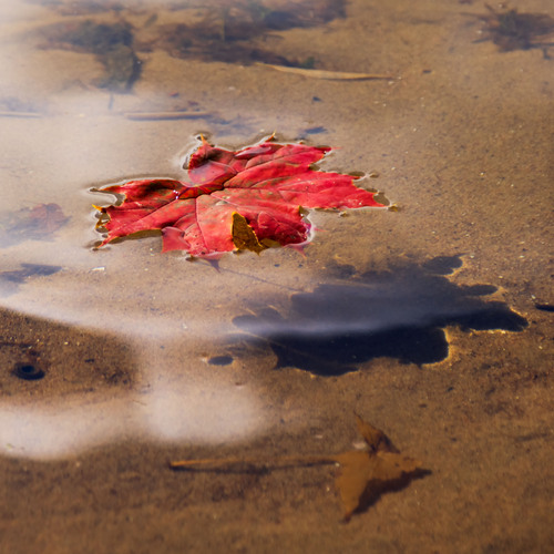 Photo #14140451