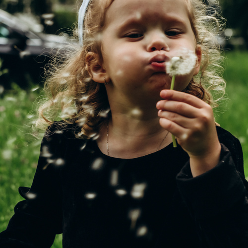 Photo #14140500