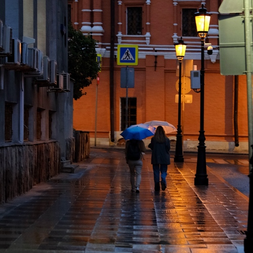 Photo #14140503