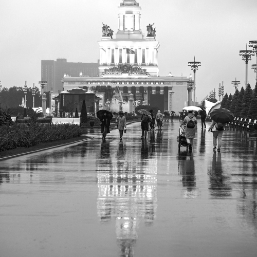 Photo #14140506