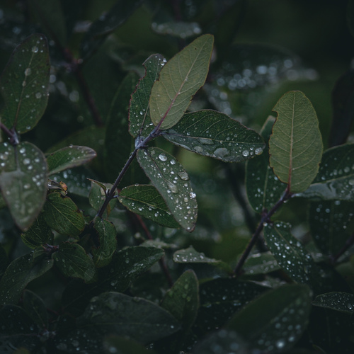 Photo #14140522