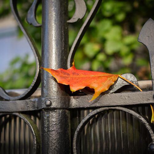 Photo #14140533