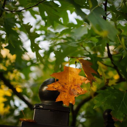 Photo #14140536