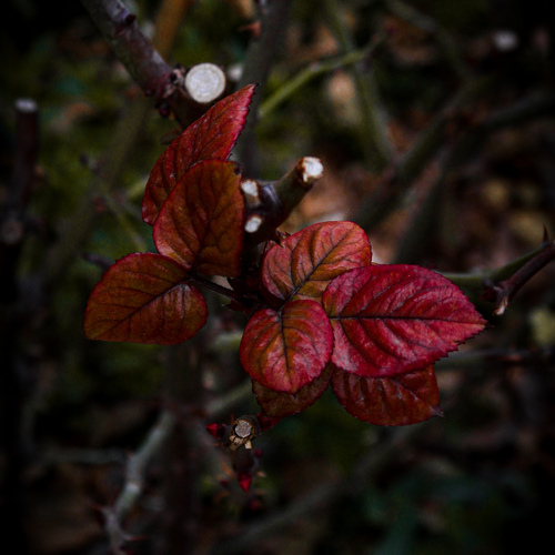 Photo #14140547