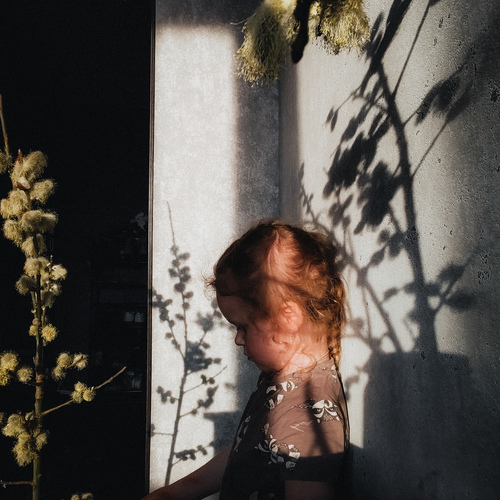 Photo #14140550
