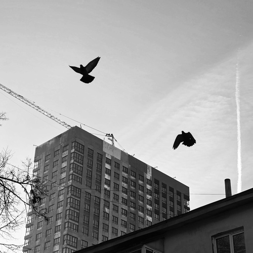 Photo #14140562