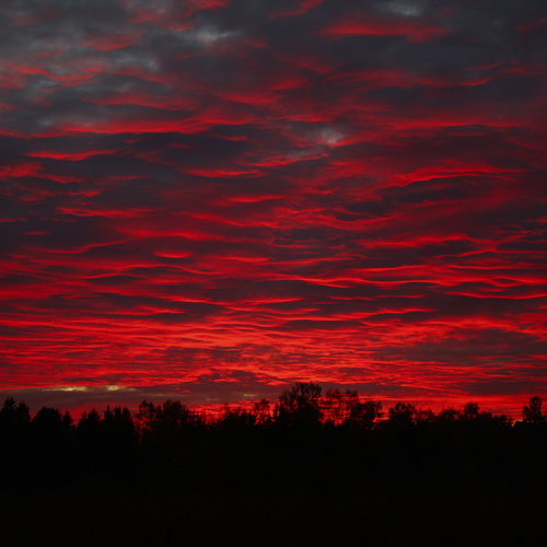 Photo #14140569