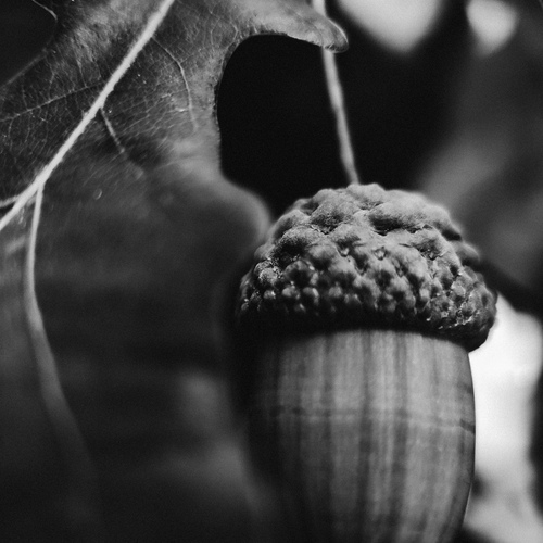 Photo #14140654