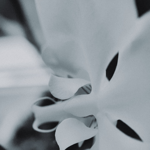 Photo #14140656
