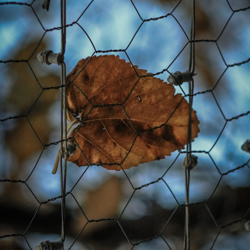 Photo #14140661