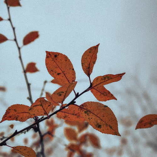 Photo #14140683