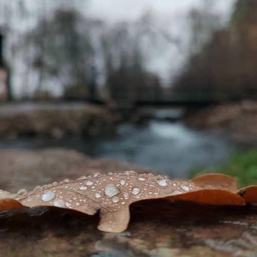 Photo #14140740