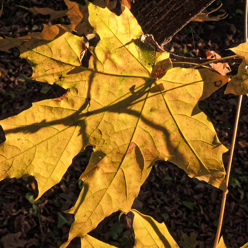 Photo #14140764