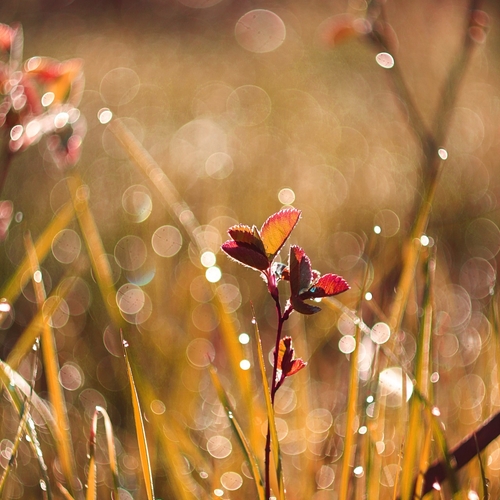 Photo #14140819