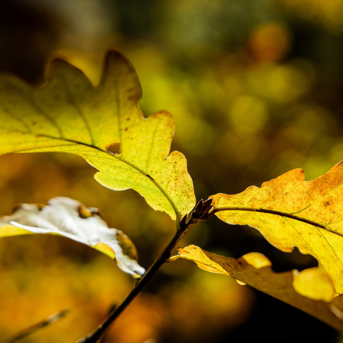 Photo #14140824