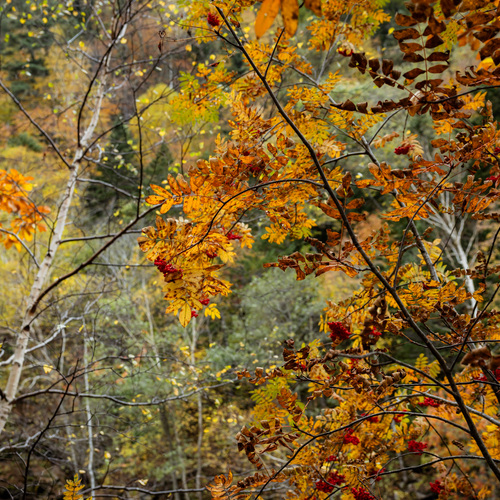 Photo #14140825