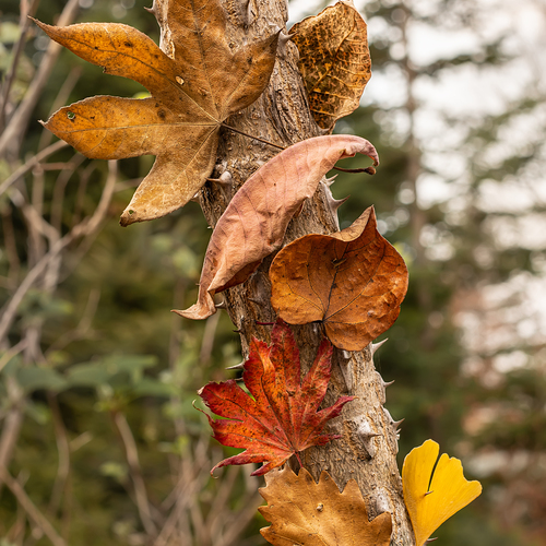 Photo #14140827