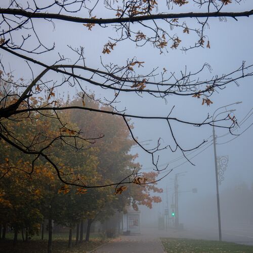 Photo #14140840