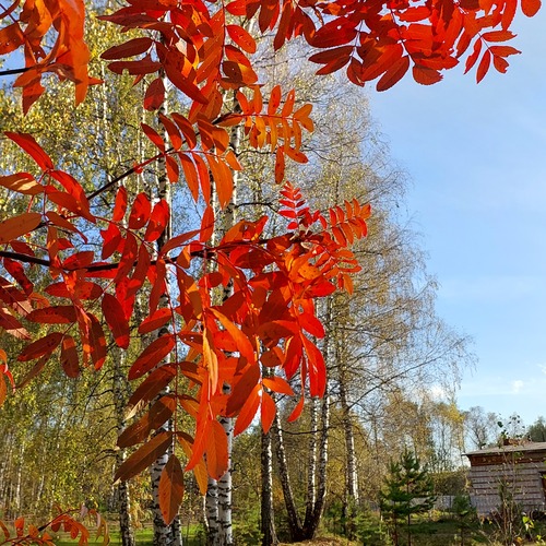 Photo #14140848