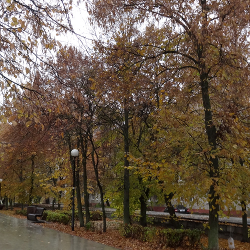 Photo #14140869