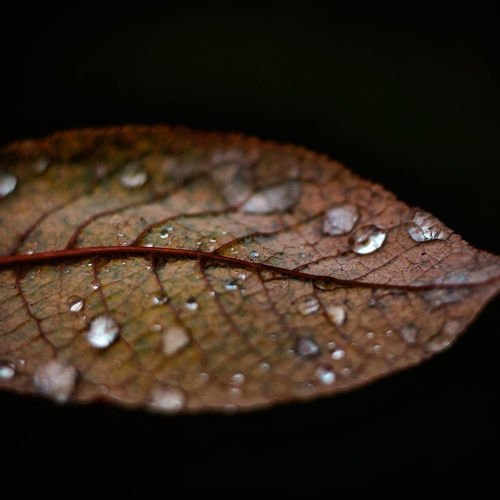 Photo #14140914