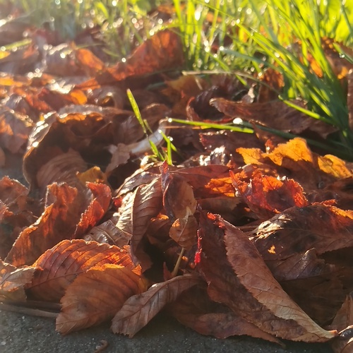 Photo #14141025