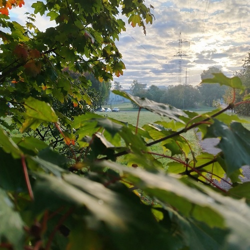 Photo #14141026