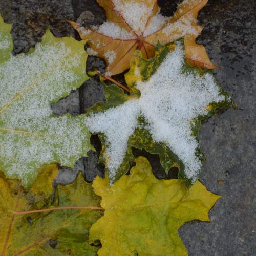 Photo #14141042