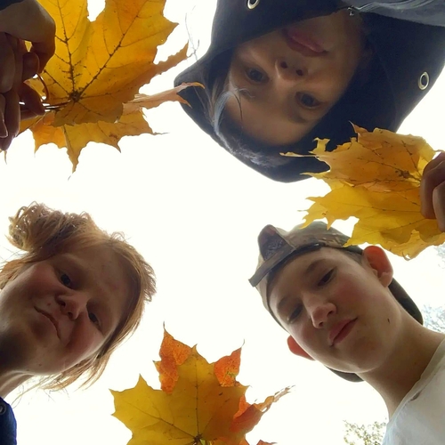 Photo #14141176