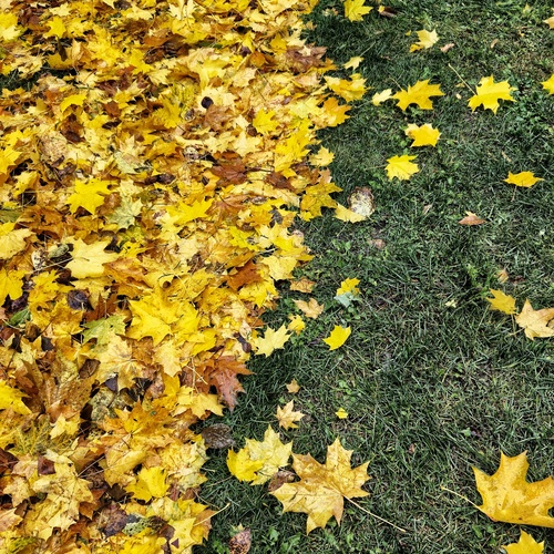 Photo #14141347