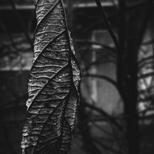 Photo #14141422