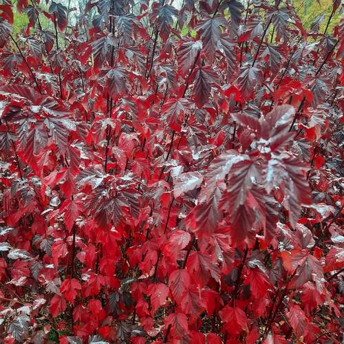 Photo #14141430