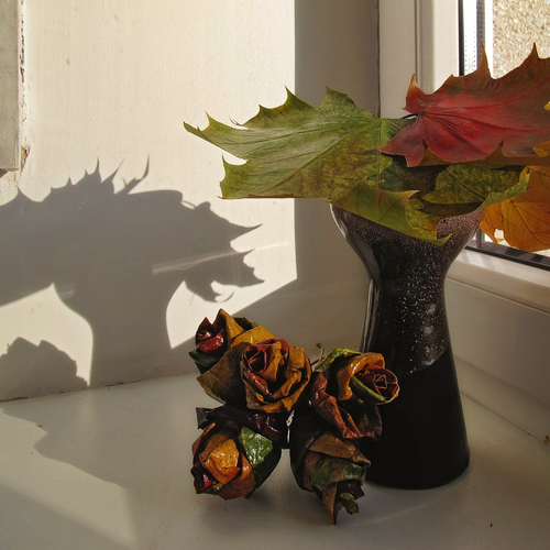 Photo #14141554