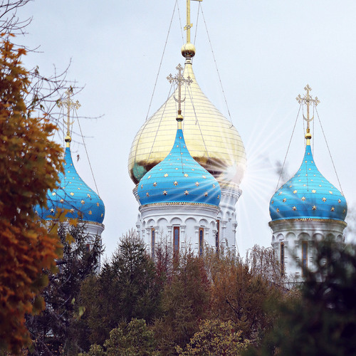 Photo #14141562